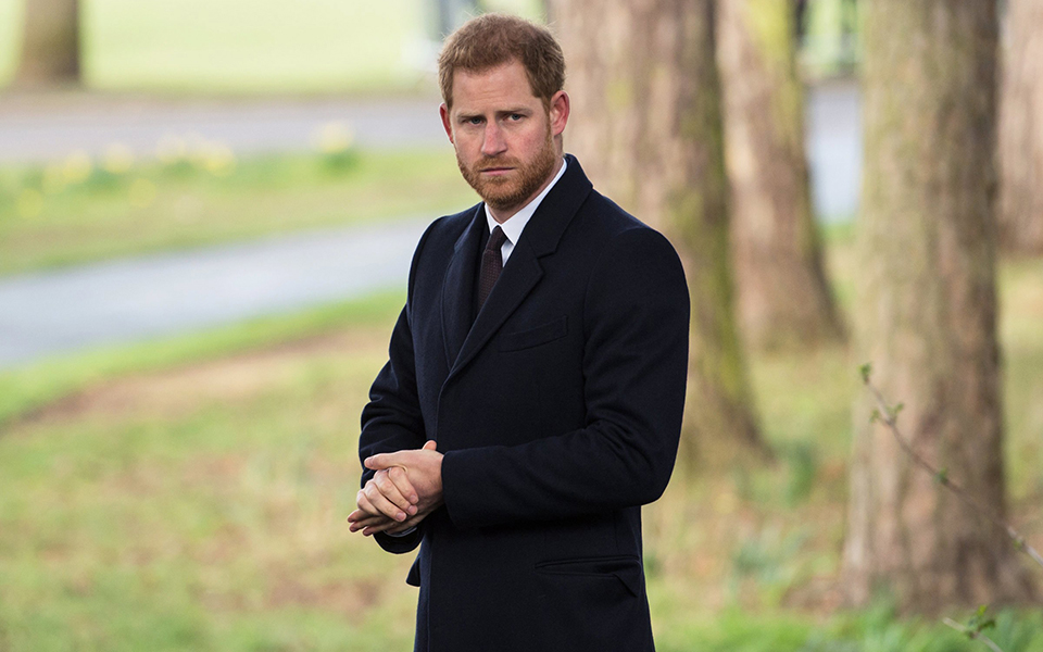 πρίγκιπας-χάρι-κάτι-μεταξύ-truman-show-και-ζωο-561363292