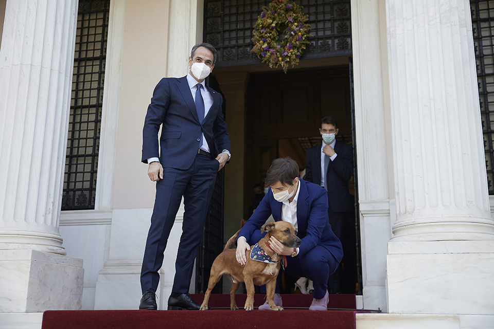 διπλωματία-561362365