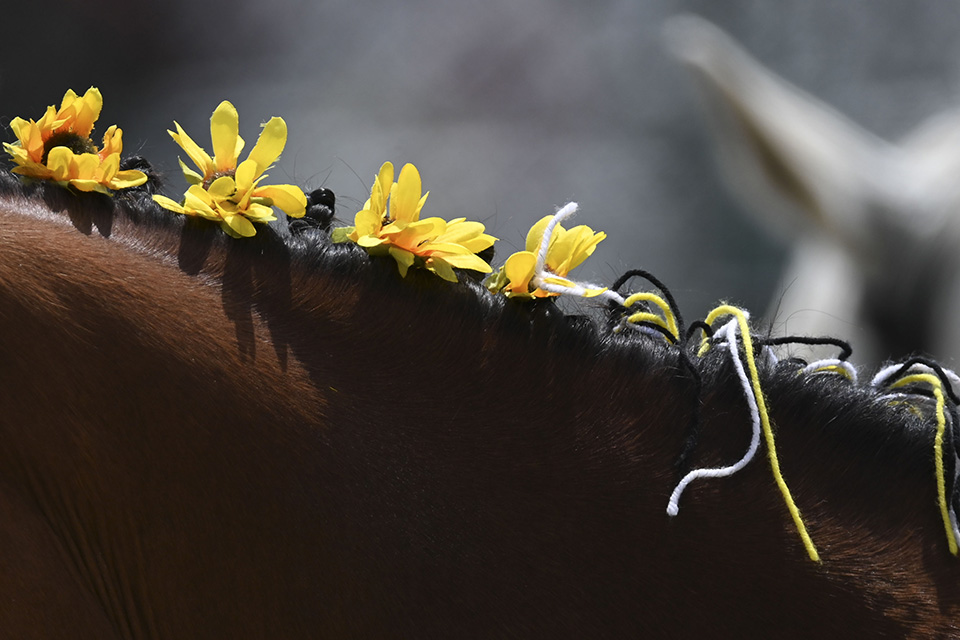 κίτρινο-561366610