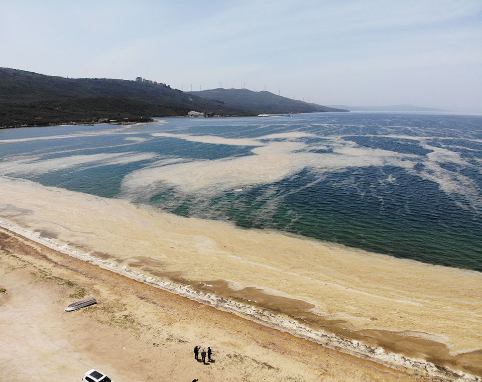 Βλέννα απειλεί τις θάλασσες της Τουρκίας-1