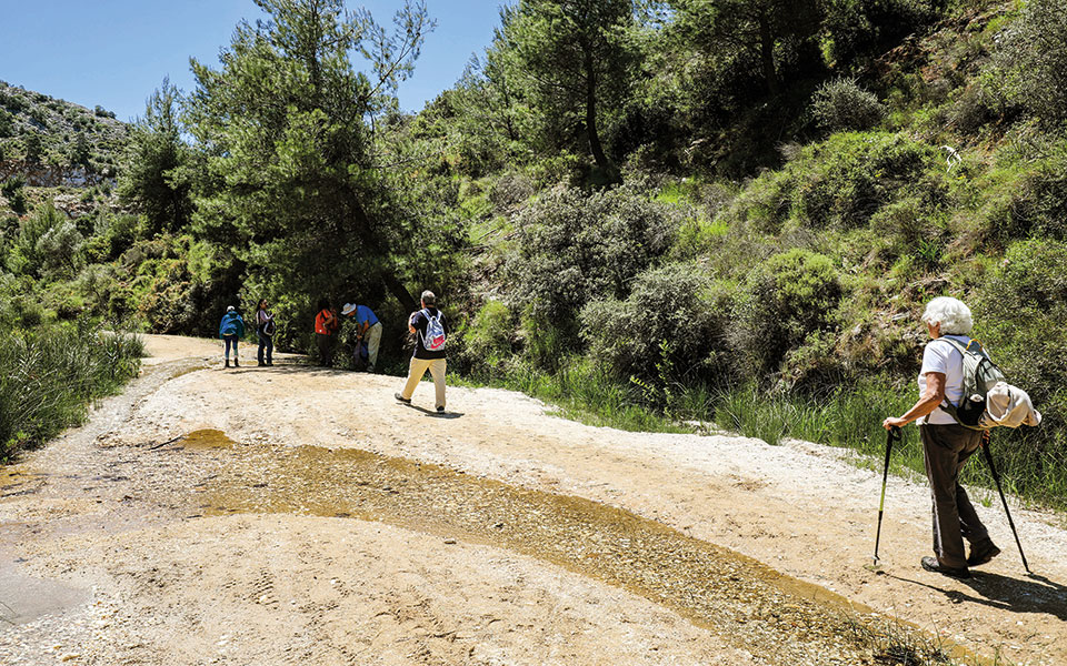 ο-καταρράκτης-της-πεντέλης-561374353