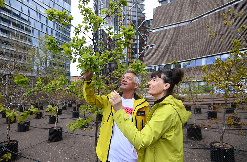 Φυτεύοντας τέχνη