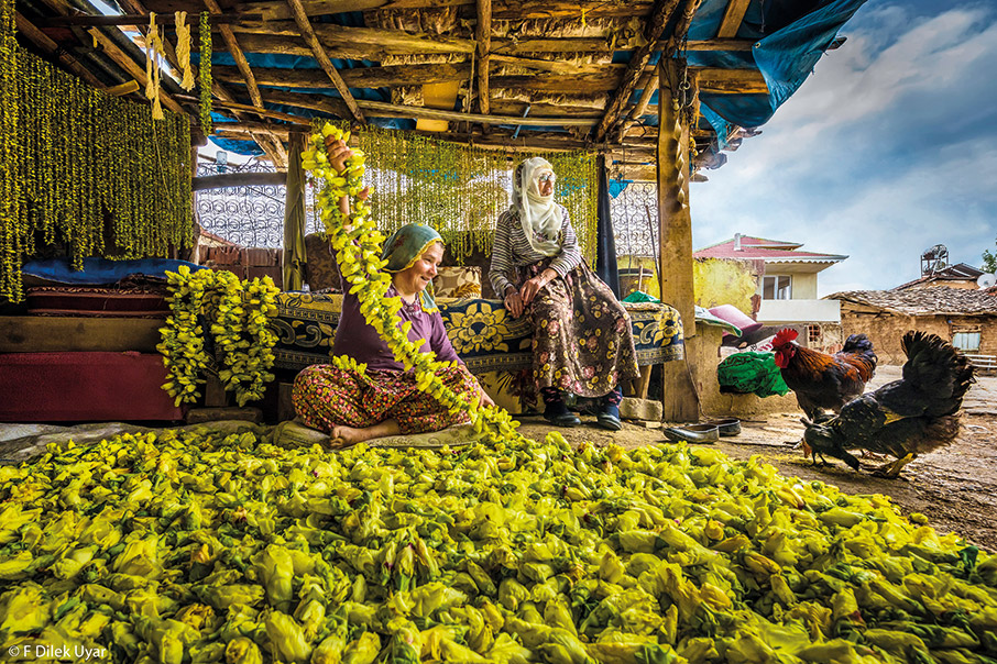 Βραβευμένες εικόνες από τον κόσμο-1