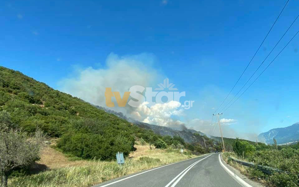 Φθιώτιδα: Πυρκαγιά στη Μακρακώμη – Ισχυρές πυροσβεστικές δυνάμεις στο σημείο-2
