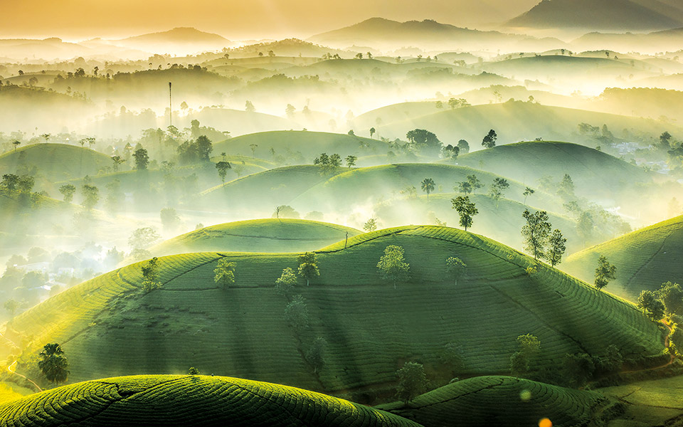 βραβευμένες-εικόνες-από-τον-κόσμο-561382903