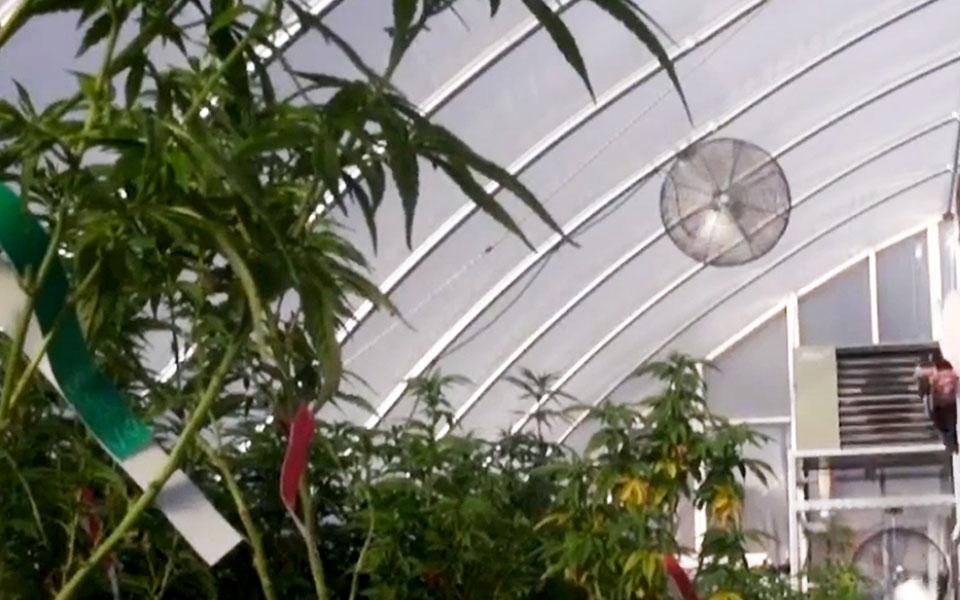 πληθαίνουν-οι-νέες-επενδύσεις-561372679