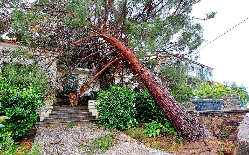 Υδροστρόβιλος «χτύπησε» τη Λέσβο – Σοβαρά προβλήματα σε Καλλονή, Μόλυβο (εικόνες)-1