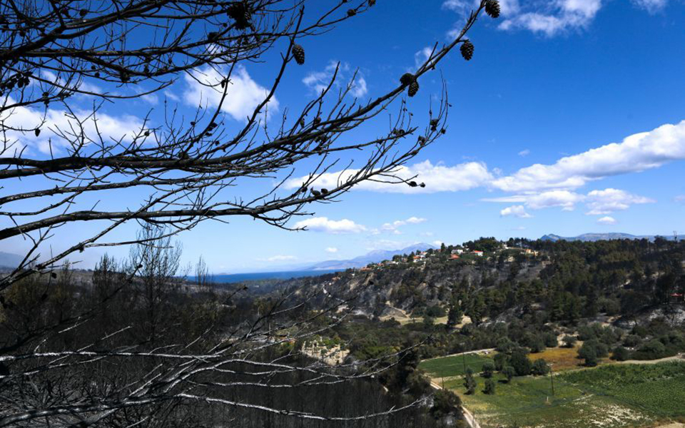 πυρκαγιά-στα-γεράνεια-όρη-τέταρτο-24ωρο-561373552