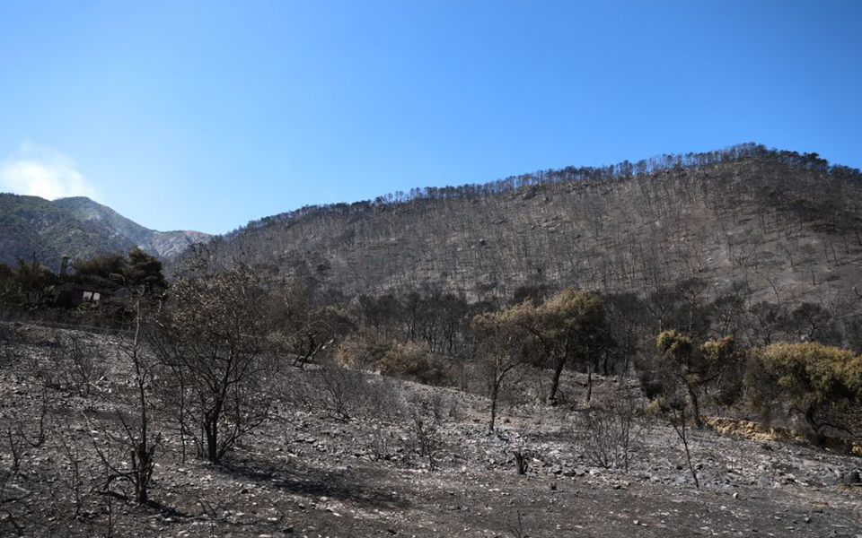 Πυρκαγιά στα Γεράνεια Όρη: Στάχτη πάνω από 71.000 στρέμματα (φωτογραφίες – βίντεο)-2