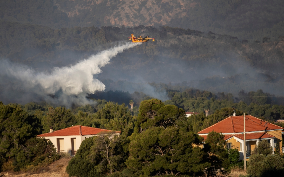χαρδαλιάς-για-φωτιά-στην-κορινθία-στά-561371119
