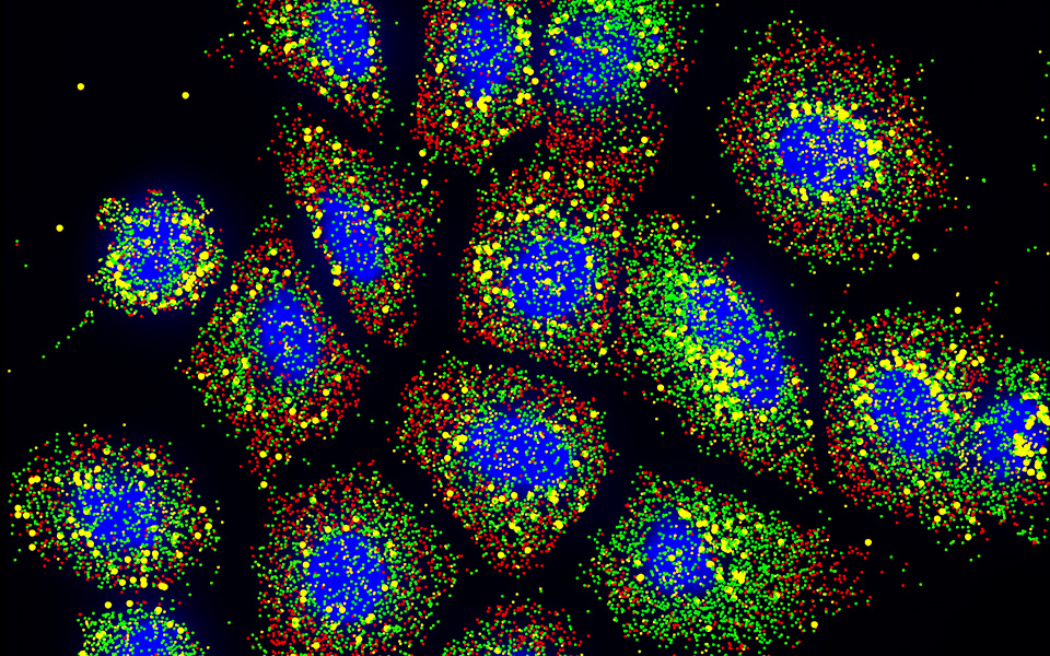 δημιουργήθηκε-ο-πιο-ολοκληρωμένος-χ-561359095
