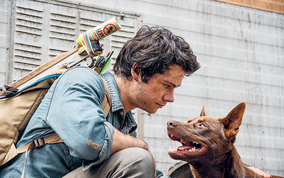 ο-άνθρωπος-στο-έλεος-της-φύσης-561356062