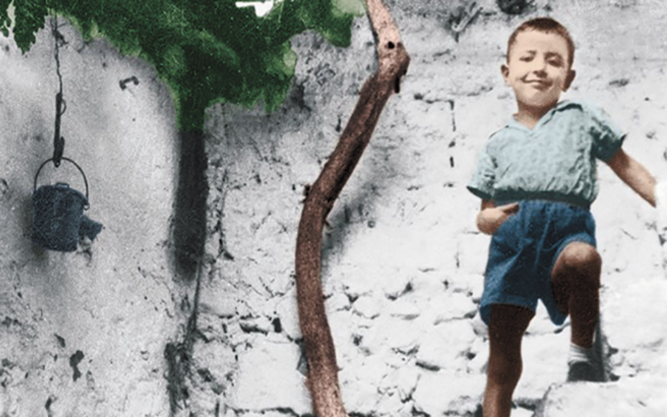 αειθαλής-νόστος-561356332