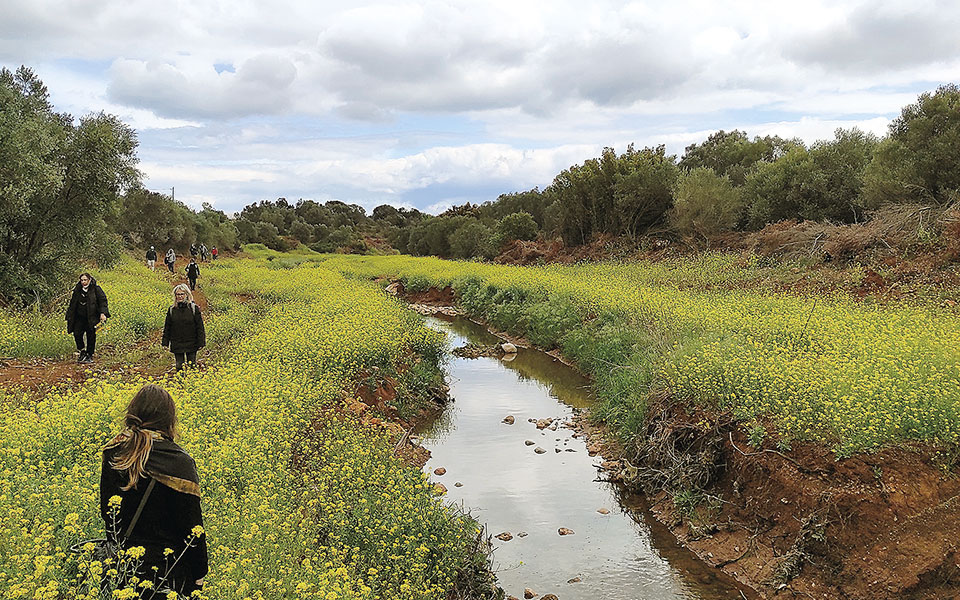 ερασίνος-ένας-μικρός-φυσικός-παράδει-561355069