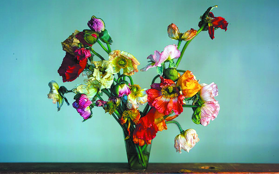 Ματιές στον κόσμο-3