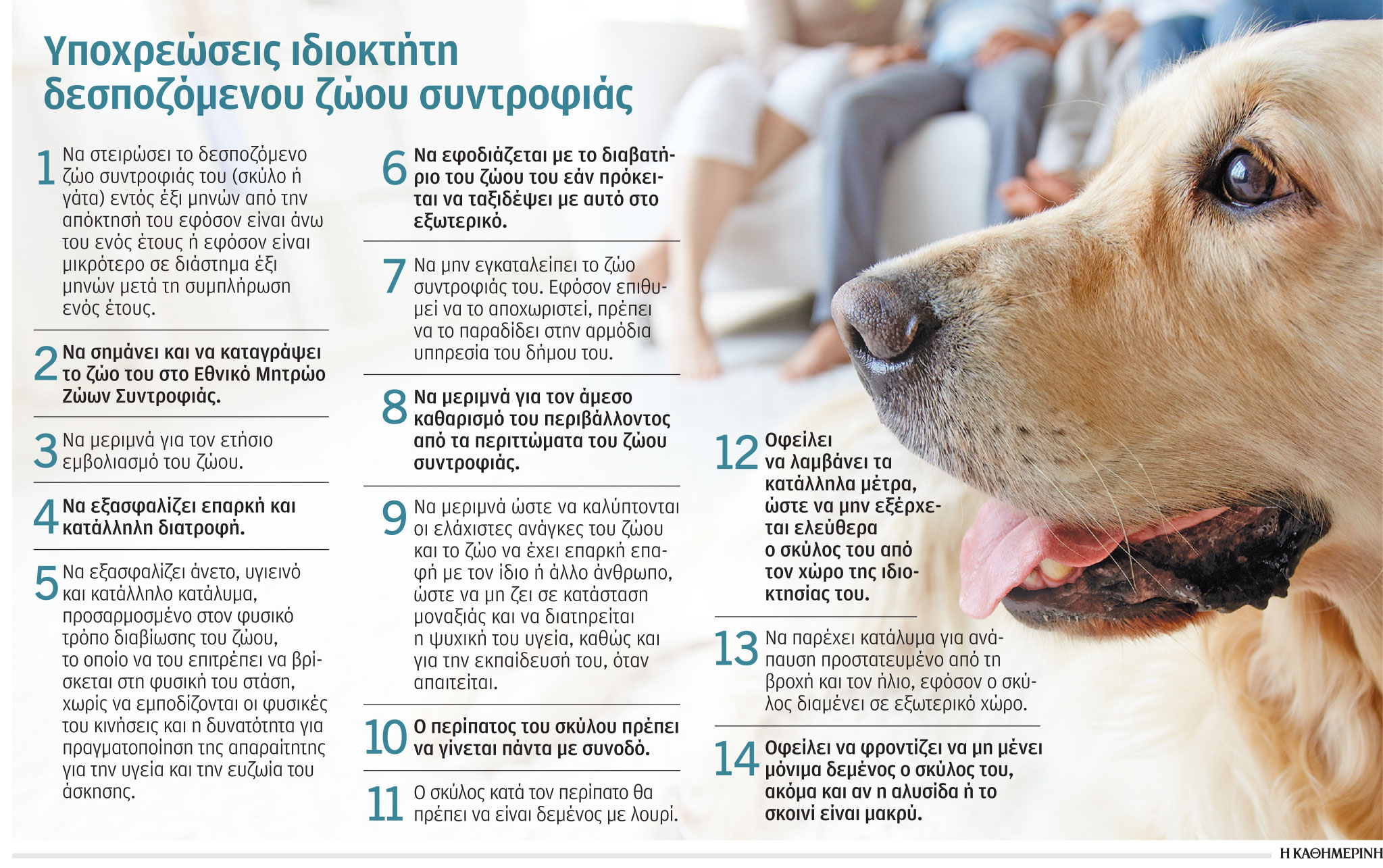 Ζώα συντροφιάς: Αντιδράσεις στο νομοσχέδιο-1