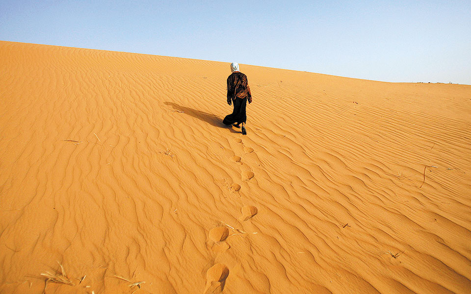 η-δοε-δημιουργεί-πράσινο-τείχος-μήκ-561362605