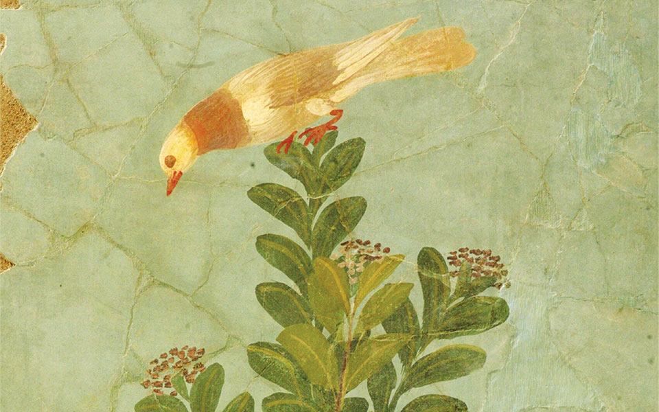 περί-της-φύσεως-των-πραγμάτων-από-τον-ρ-561363094