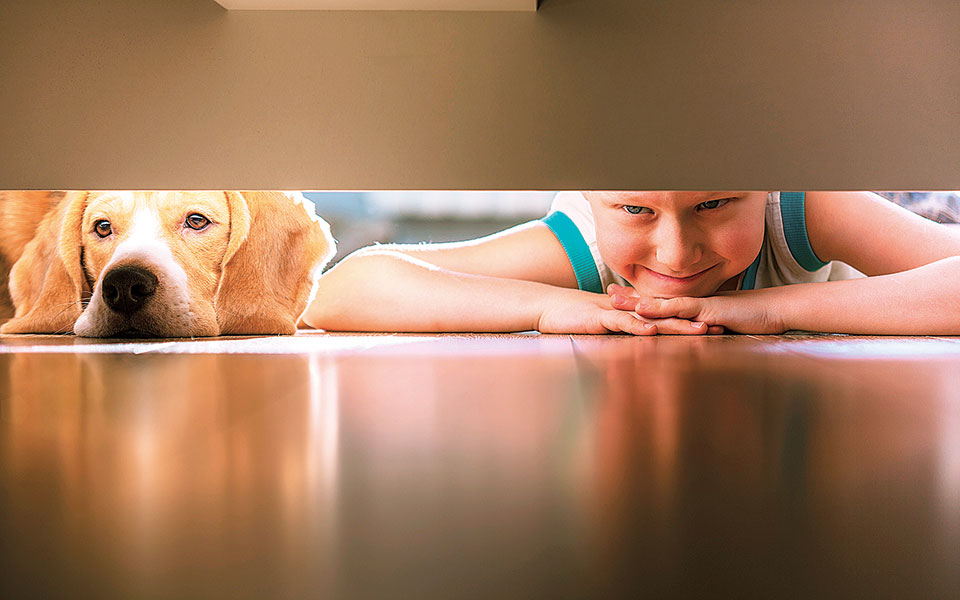 ζώα-δεν-είναι-εδώ-για-εμάς-είναι-εδώ-με-561367396