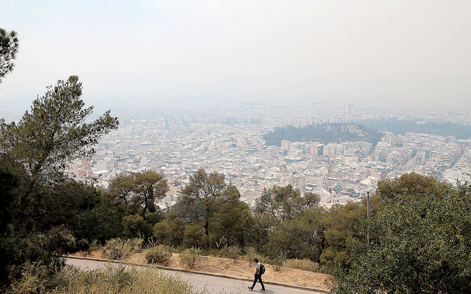 Φωτιά στον Σχίνο: «Ηταν δύσκολο να γίνουν αντιπυρικές ζώνες»-1