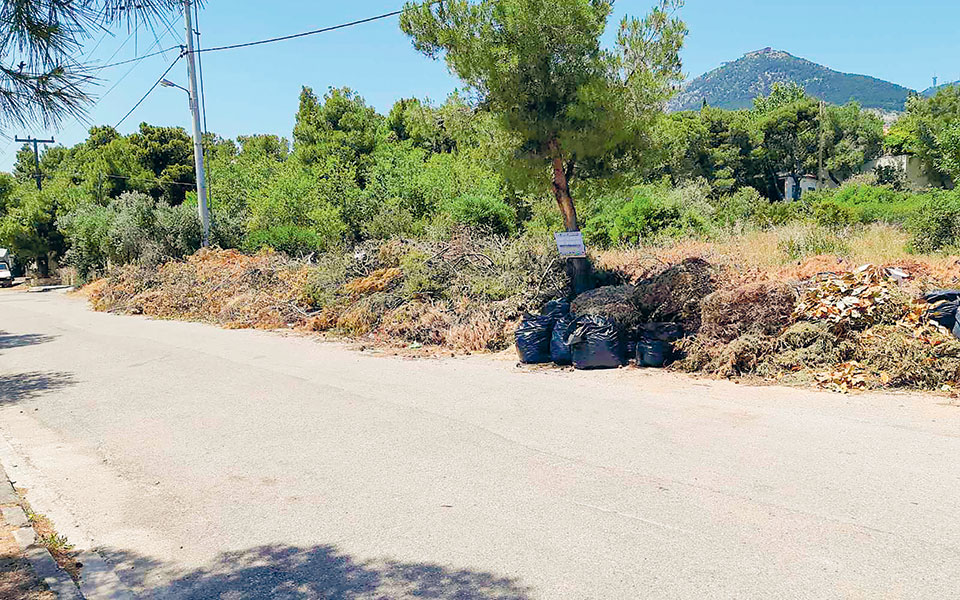 πυροπροστασία-βουνά-από-κλαδέματα-σ-561375049