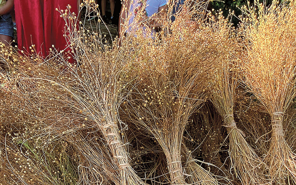 πηνελόπη-gandhi-το-νήμα-του-αργαλειού-που-561379768