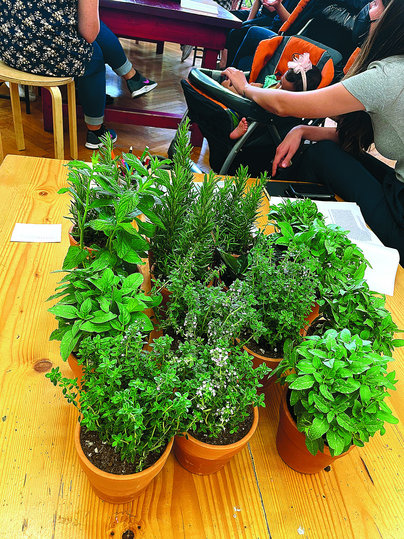 Μια «Μέλισσα» φέρνει την άνοιξη-1