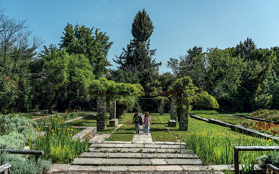 aντίστροφη-μέτρηση-για-την-εδέμ-561360886