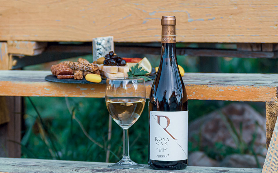 σαμιώτισσα-σαμιώτισσα-561375667