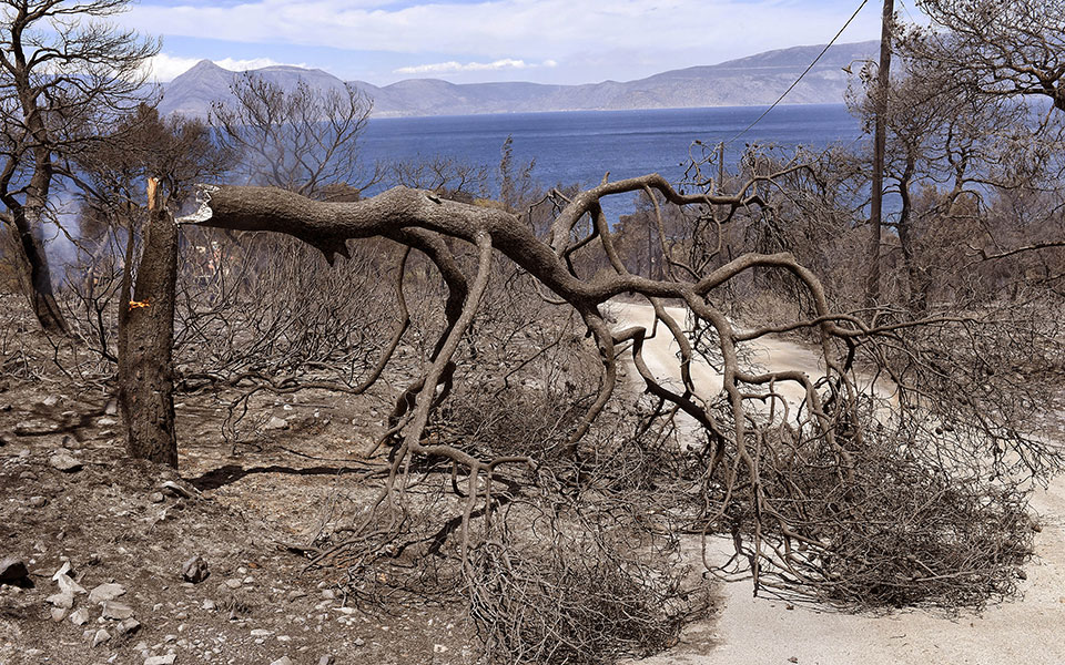 Πυρκαγιά σε Κορινθία – Δυτική Αττική: «Ήταν καταπράσινα, ένα κομμάτι παρθένο κάηκε»-1