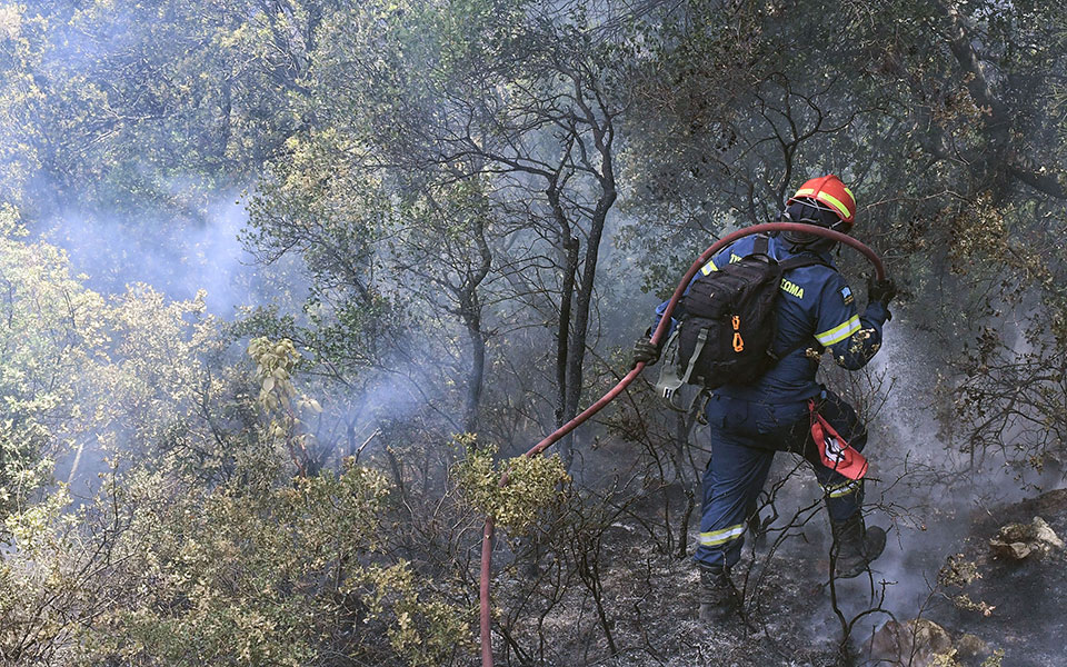 δασικές-πυρκαγιές-επένδυση-στην-πρόλ-561375079