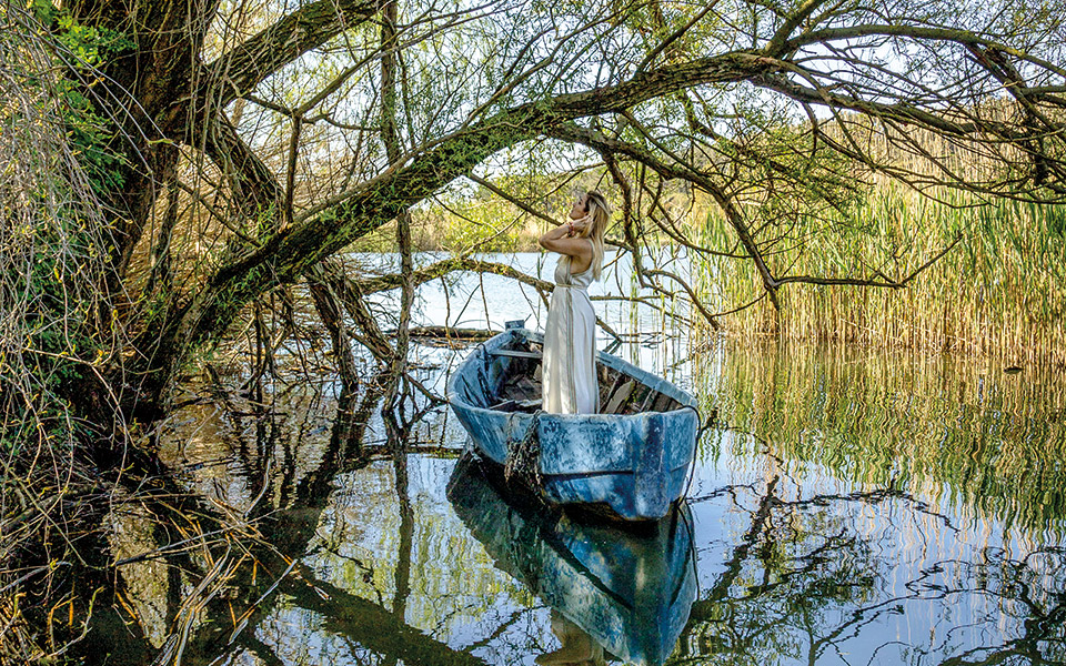 h-μεγάλη-επιστροφή-στην-κανονικότητα-561382231