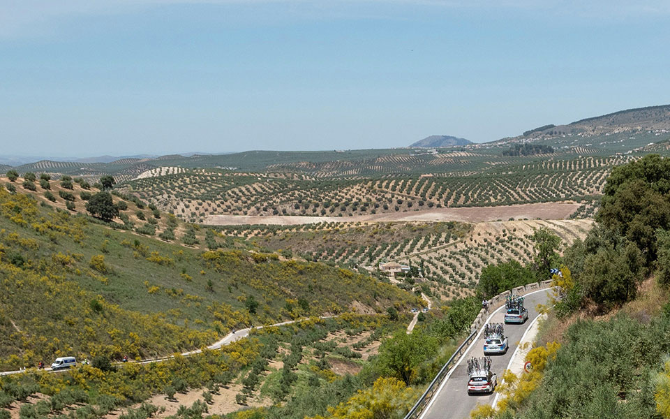 η-πανδημία-αναζωογονεί-την-ύπαιθρο-τη-561370126