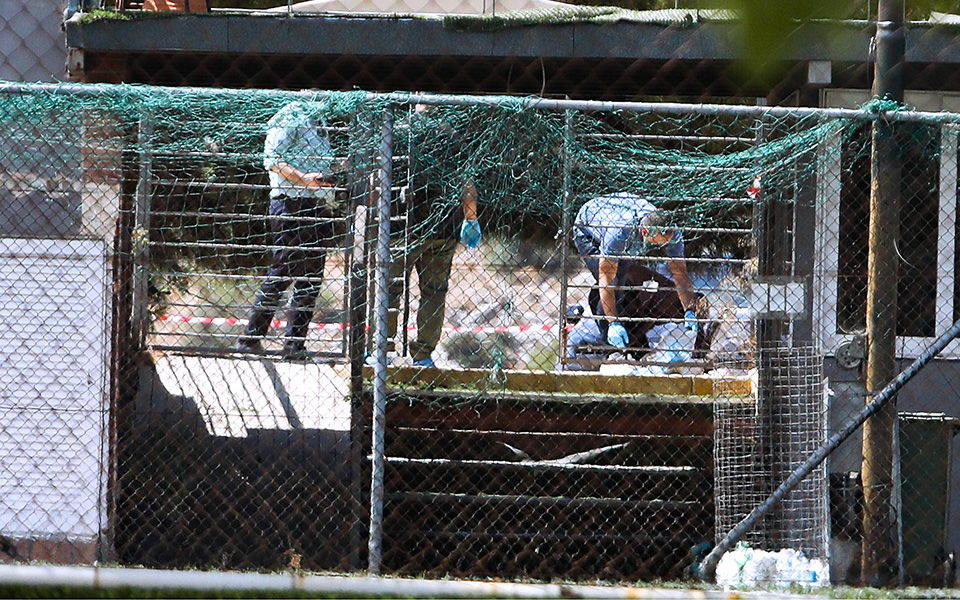 Δολοφονία στη Βάρη: Εικόνες από το σημείο της εκτέλεσης του πυγμάχου-2