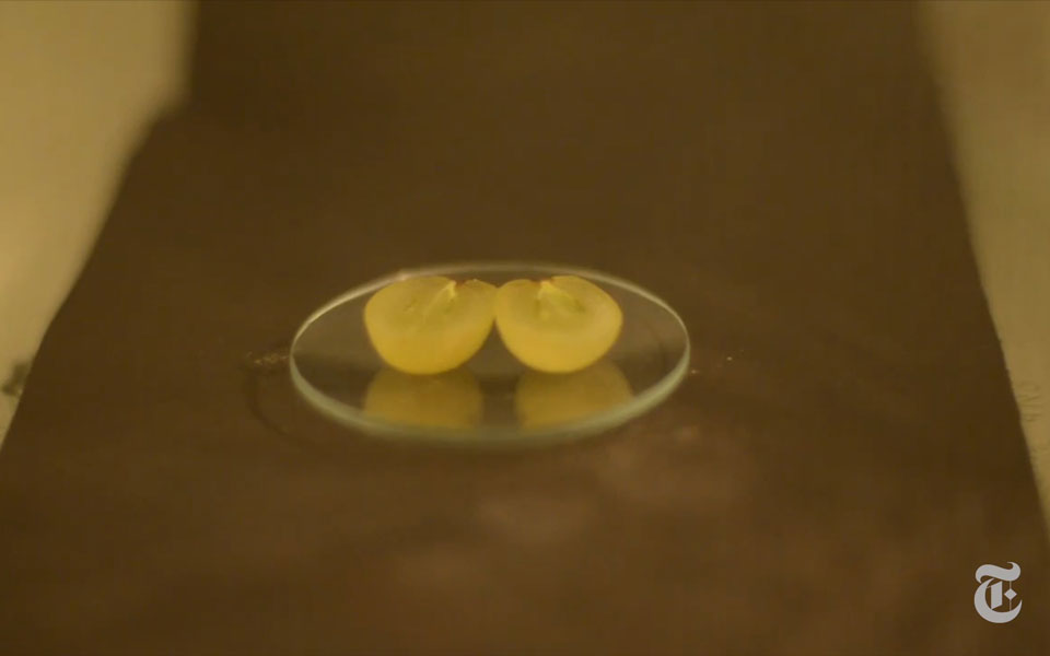 βίντεο-νυτ-πλάσμα-από-σταφύλια-στον-φο-561382459