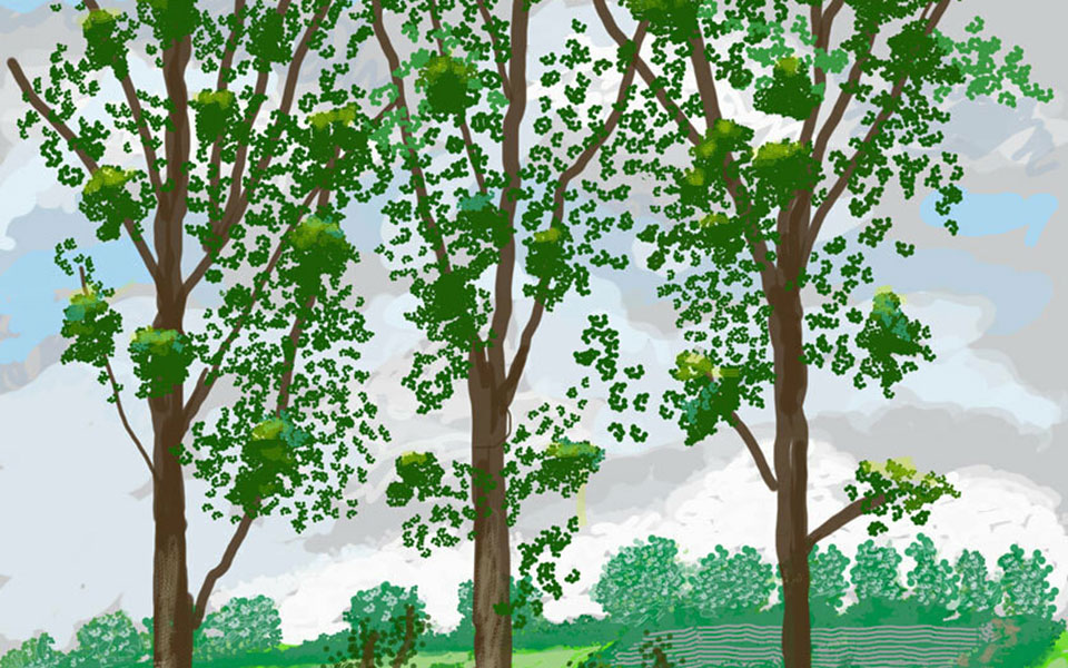 μόνο-δέντρα-για-τον-ντέιβιντ-χόκνεϊ-561358930