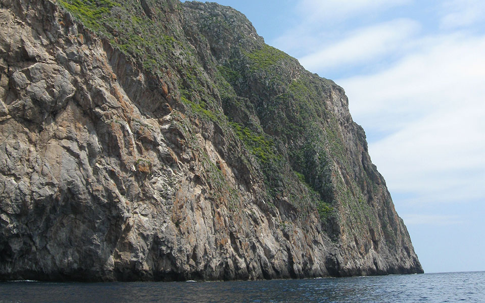 βραχονησίδες-οικοσύστημα-με-ιδιαιτε-561376732