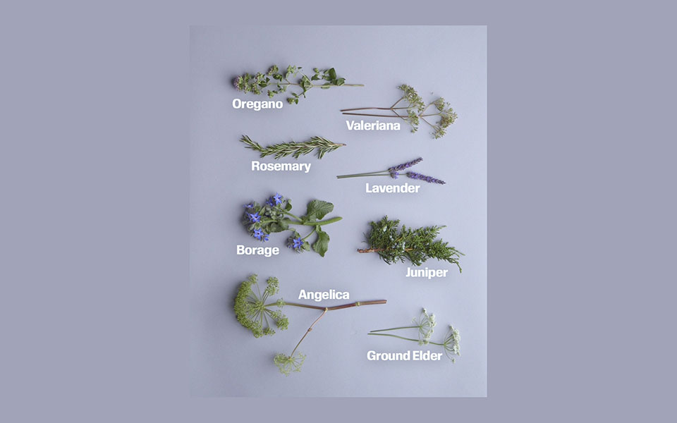 βίντεο-nyt-πώς-να-φτιάξετε-μια-όμορφη-γλά-561357871