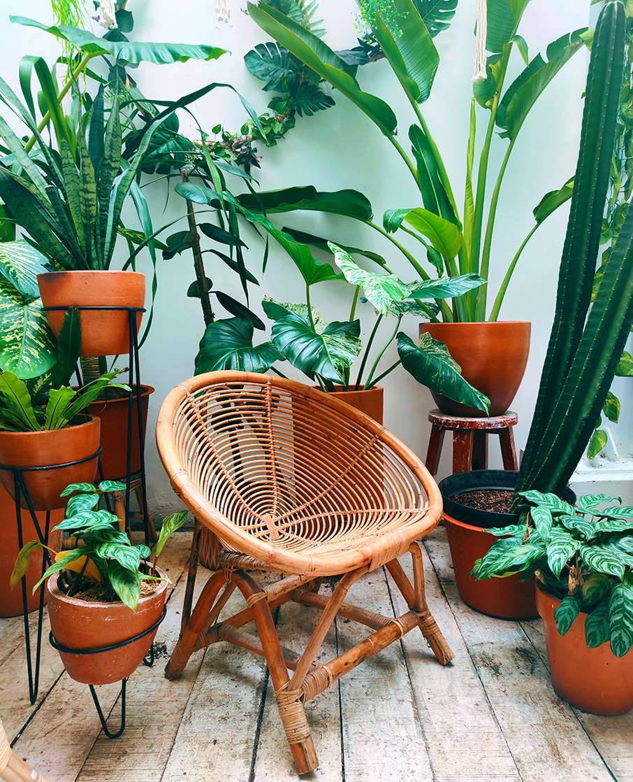 Πρωτότυπες ιδέες για διακόσμηση εξωτερικού χώρου-3