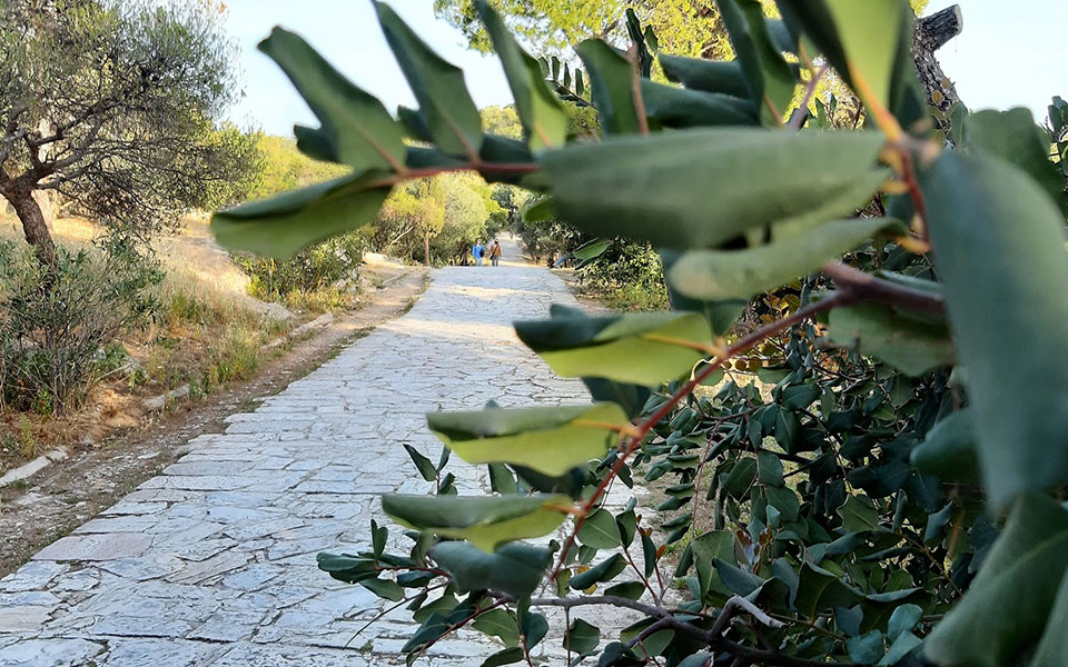 καιρός-ξεπέρασε-τους-33-βαθμούς-η-θερμο-561369169