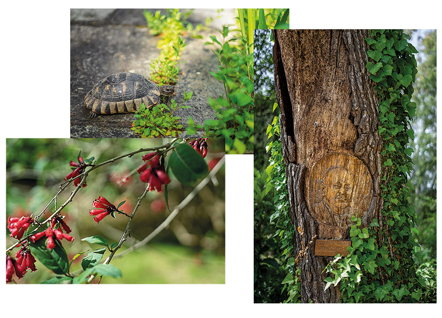 Aντίστροφη μέτρηση για την Εδέμ-1