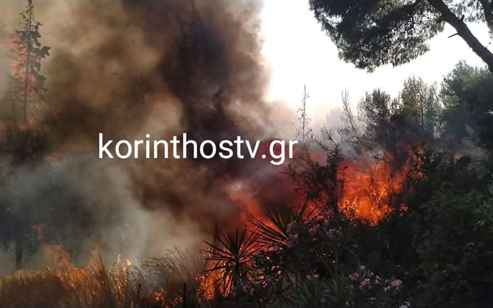 Μεγάλη πυρκαγιά στο Καλαμάκι Κορινθίας-3