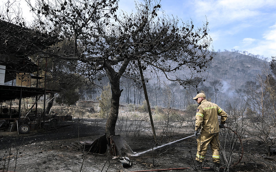 chardalias-gia-fotia-stin-korinthia-stachti-pano-apo-40-000-stremmata0