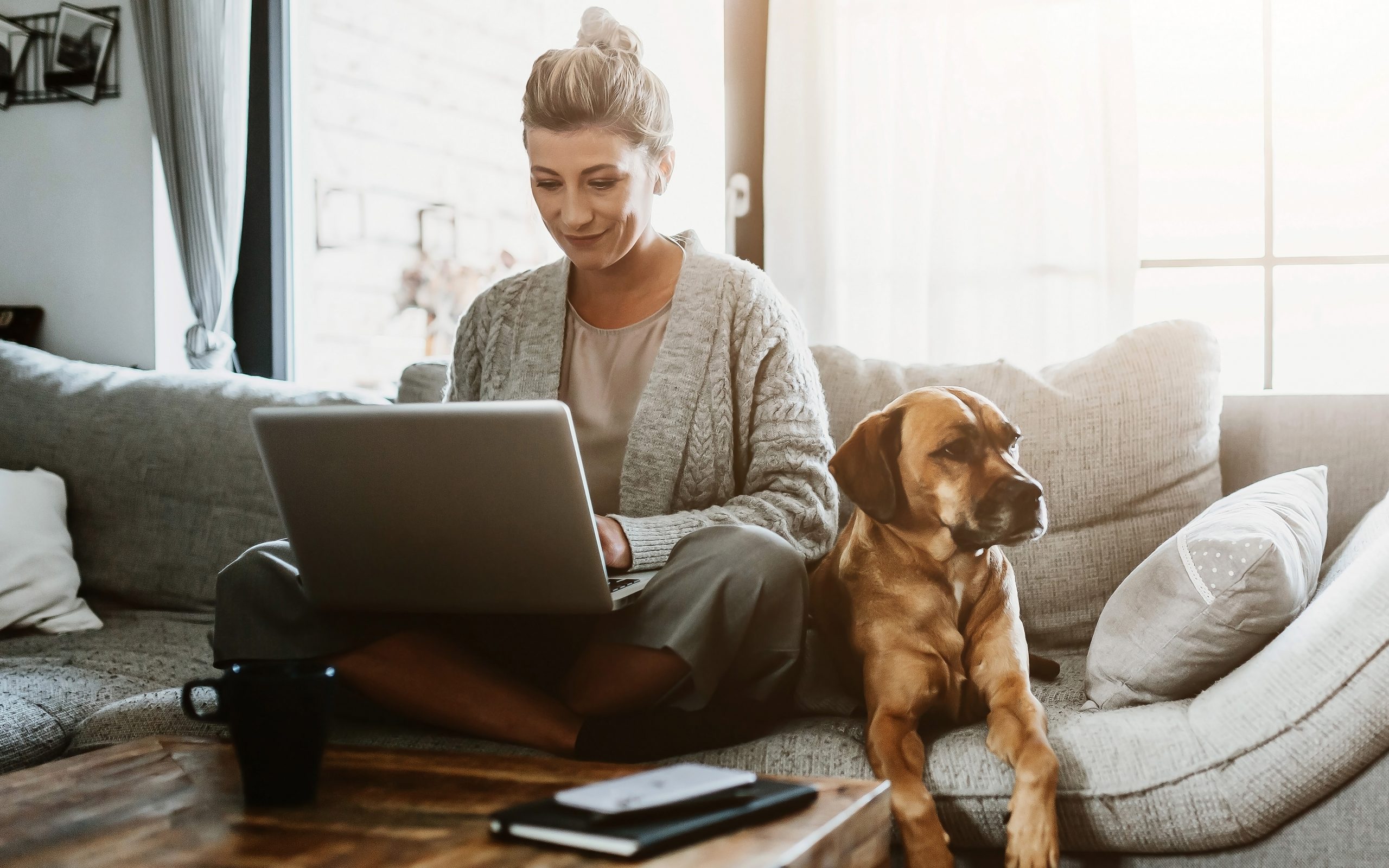 εε-πρωταθλήτρια-στην-τηλεργασία-η-φιν-561366169