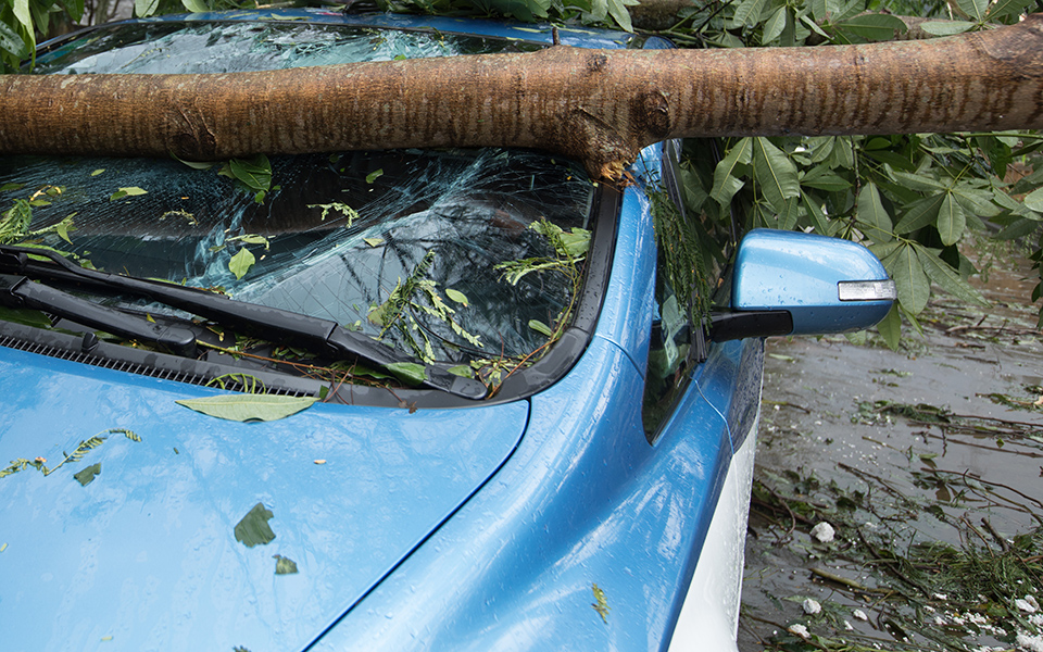 καταστροφές-στη-λέσβο-από-την-κακοκαι-561371053