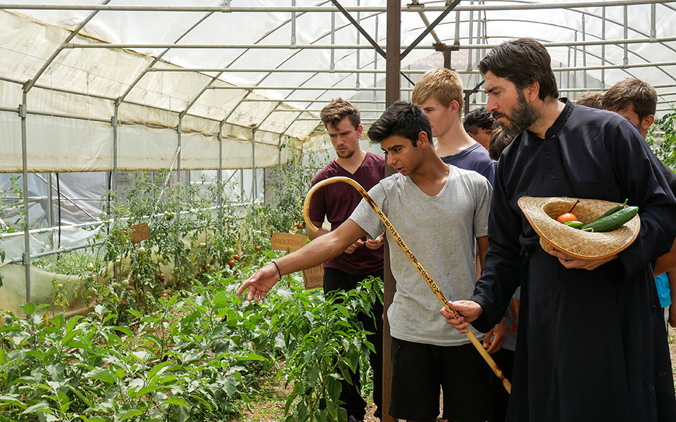 βάλσαμο-ψυχής-από-γη-και-ζωντανά-561373282