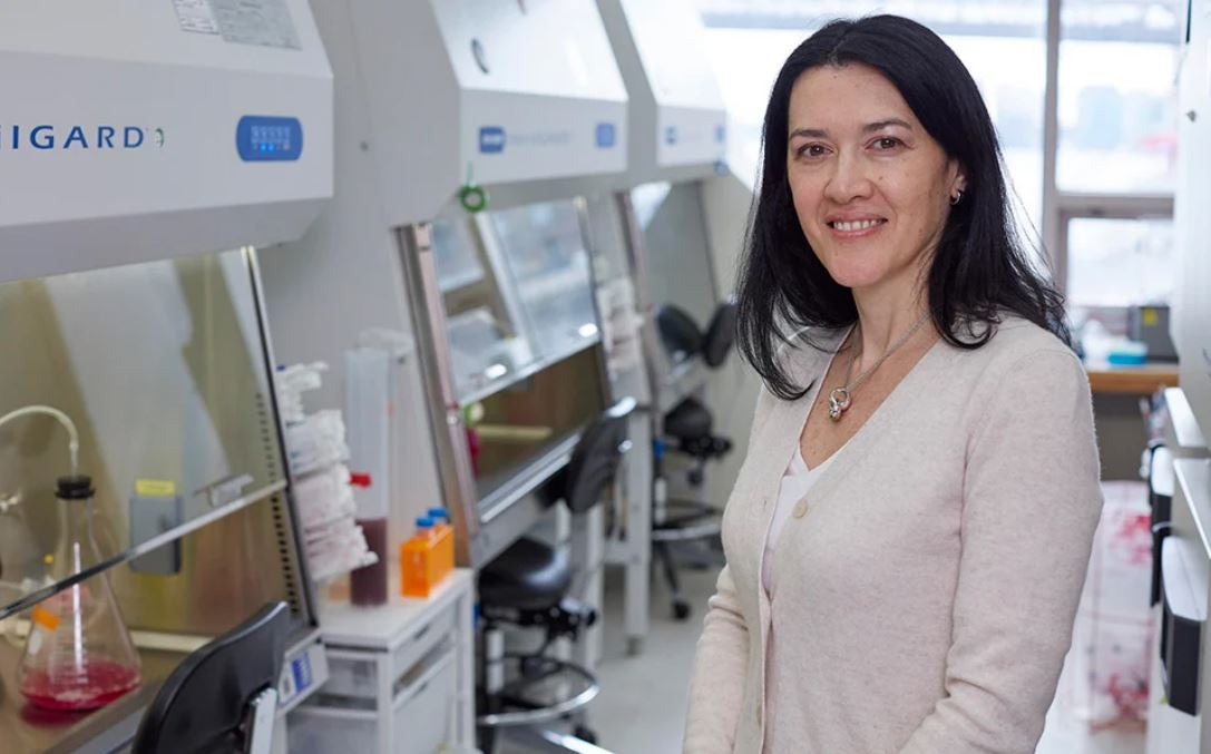 δεν-έχουμε-την-πολυτέλεια-να-αρνούμασ-561374698