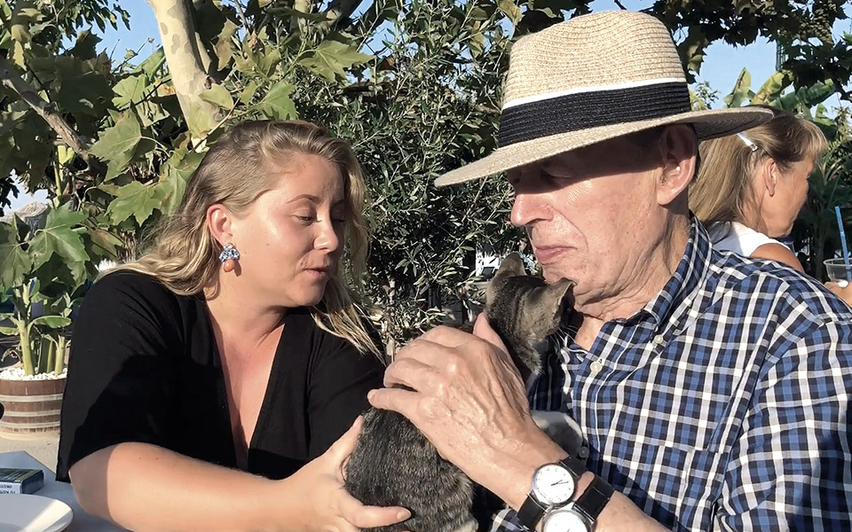 ung-igen-i-grekland-νέοι-ξανά-στην-ελλάδα-561399607