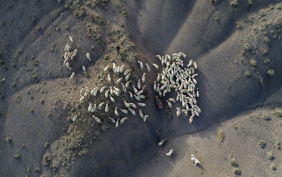 βοσκοί-για-προίκα-561384490