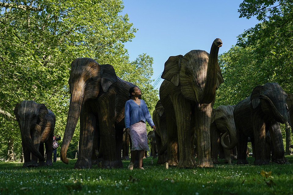 οι-ελέφαντες-του-λονδίνου-561399208